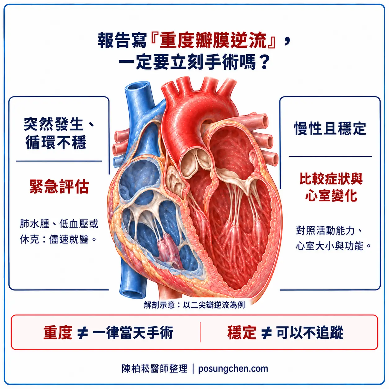 重度瓣膜逆流：突然發生且循環不穩需緊急評估；慢性且穩定則比較症狀和心室變化；解剖以二尖瓣逆流為例
