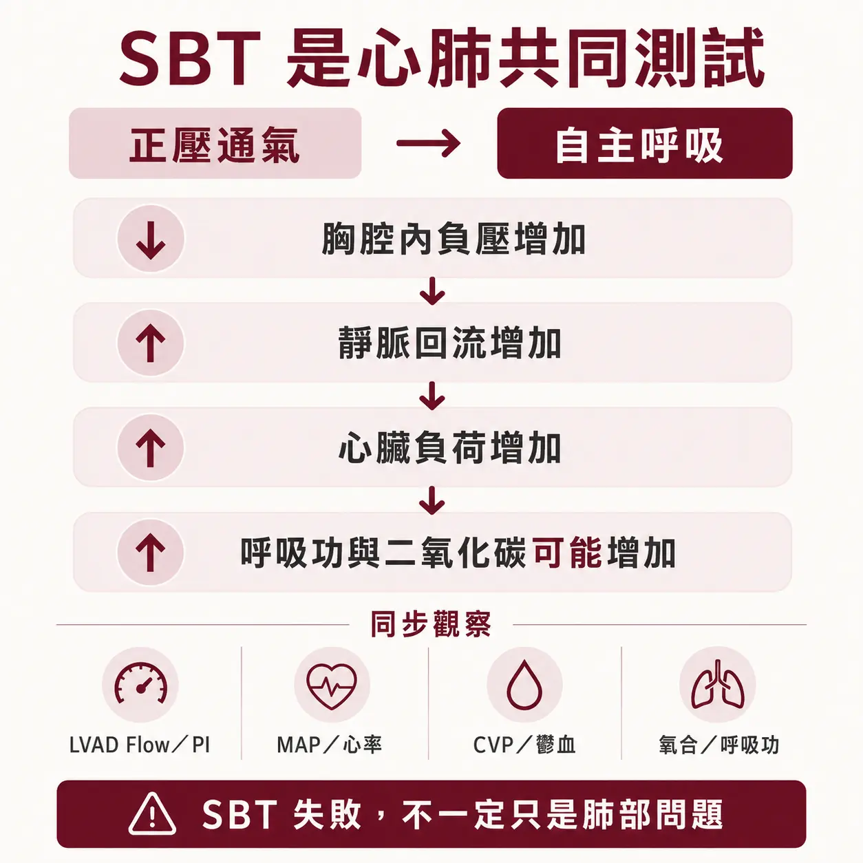 SBT 心肺共同測試示意圖:從正壓通氣轉為自主呼吸時,胸腔壓力、靜脈回流與心臟負荷會同時改變